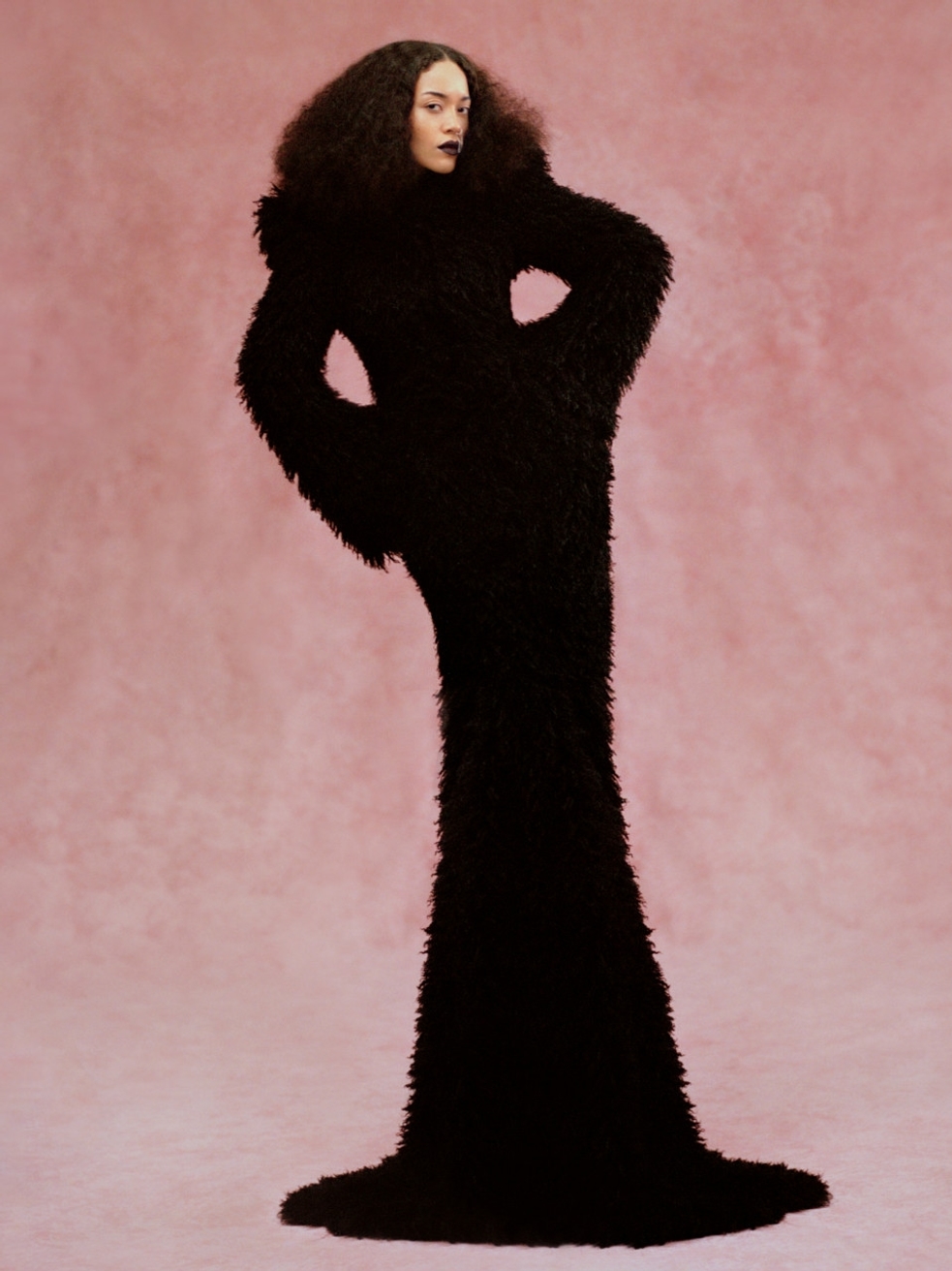 Model Image