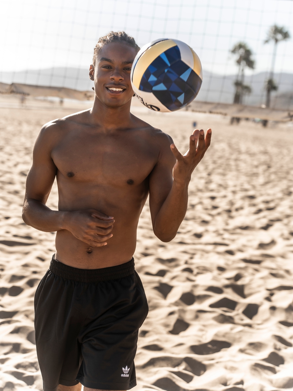 Model Image