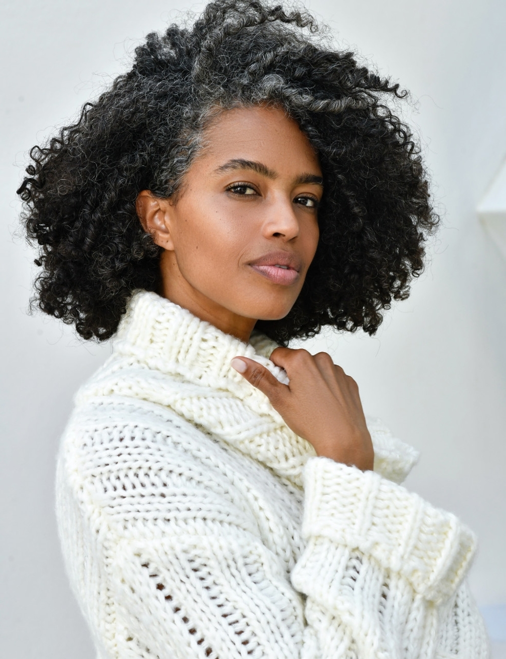 Model Image