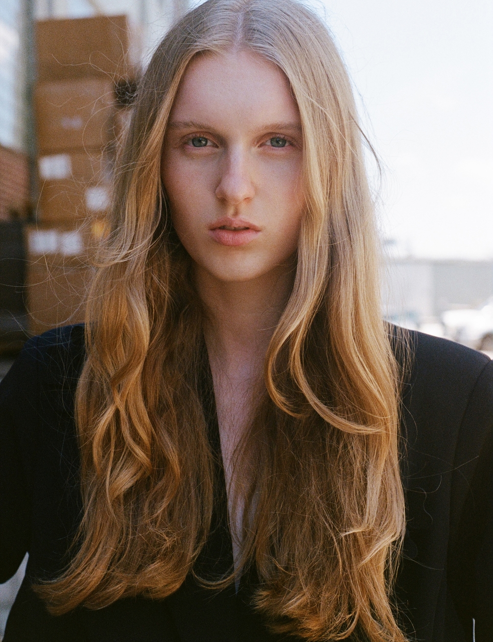 Model Image