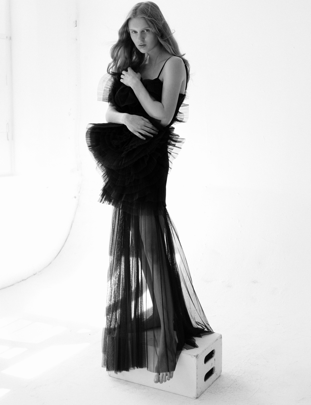 Model Image