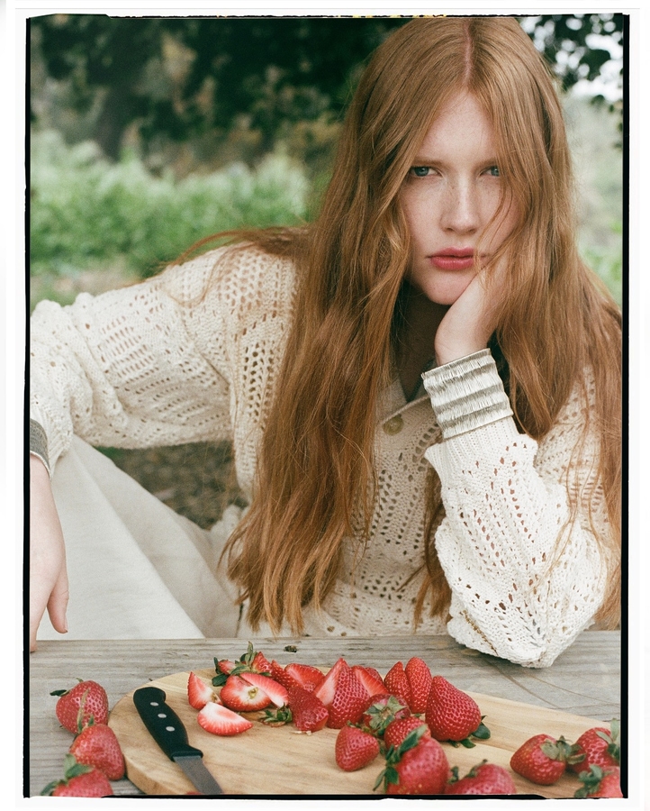 Model Image