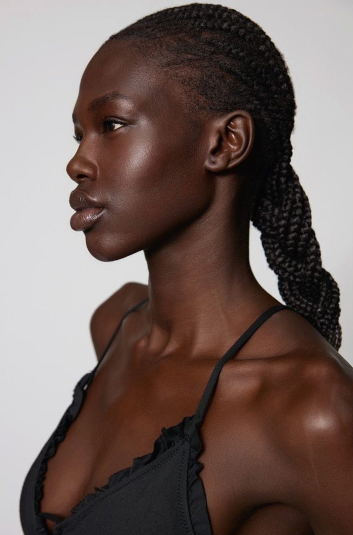 Model Image