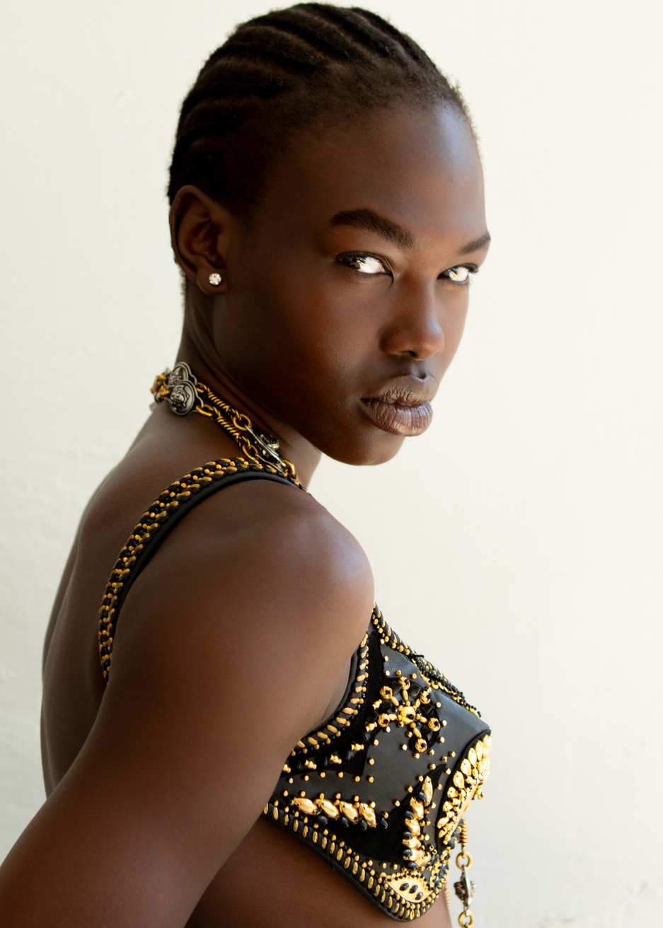 Model Image
