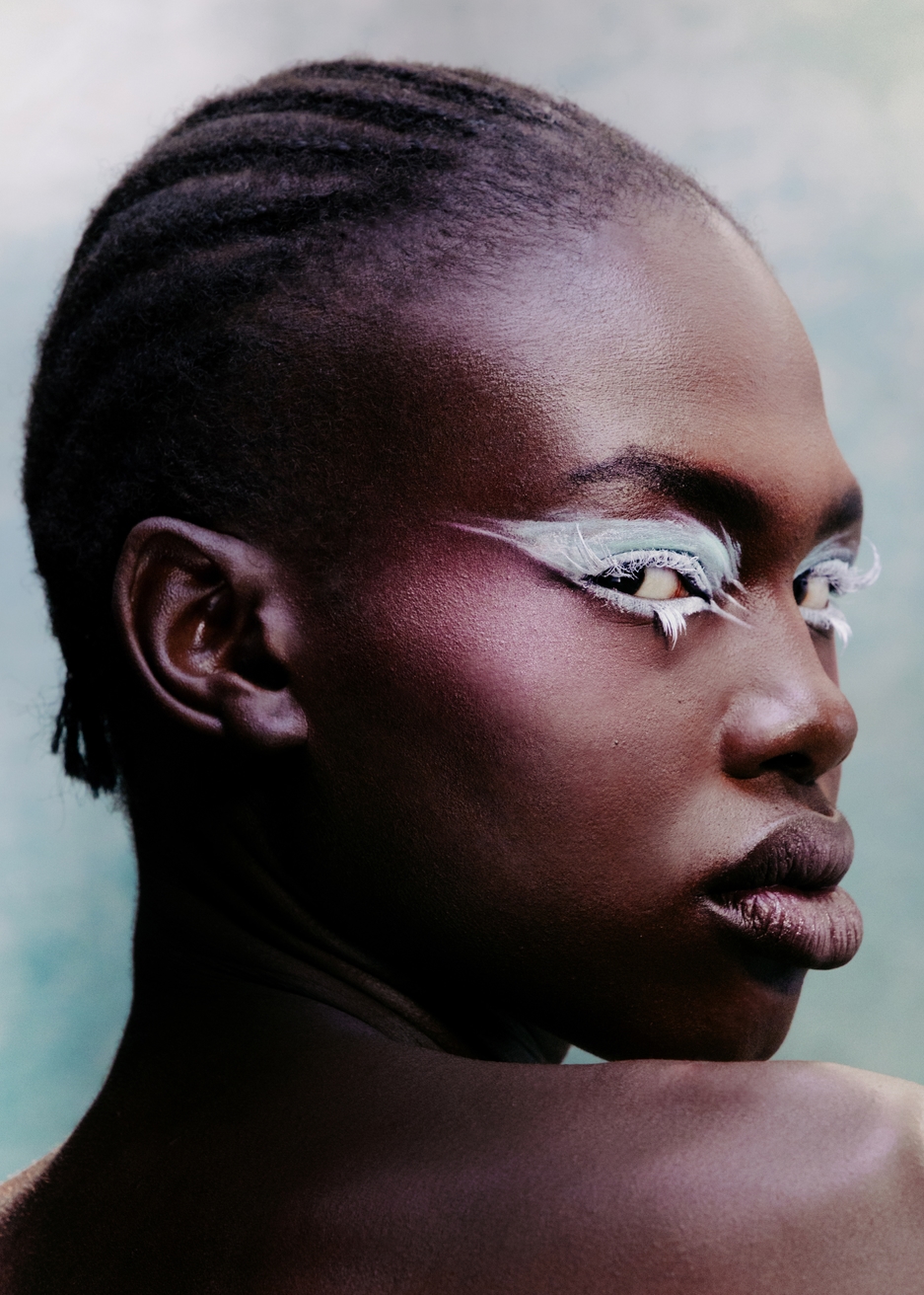 Model Image