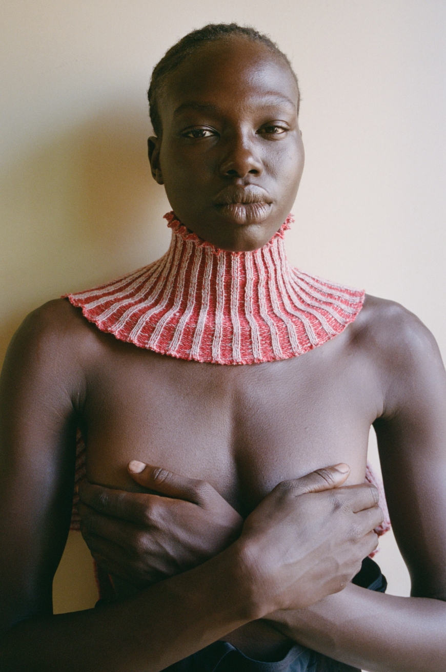 Model Image