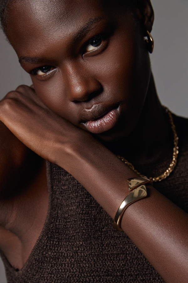 Model Image