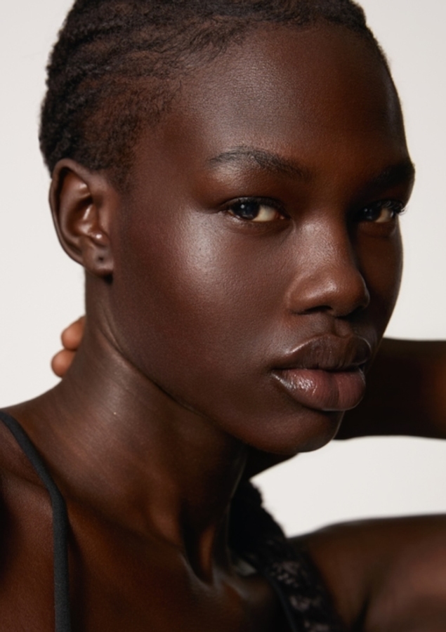 Model Image