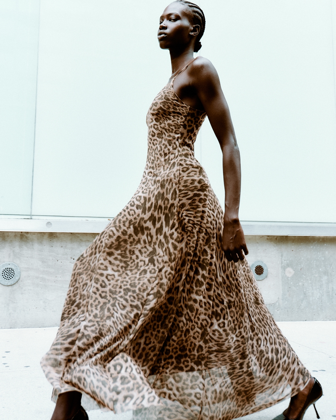 Model Image