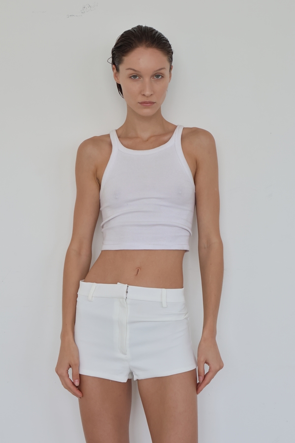 Model Image