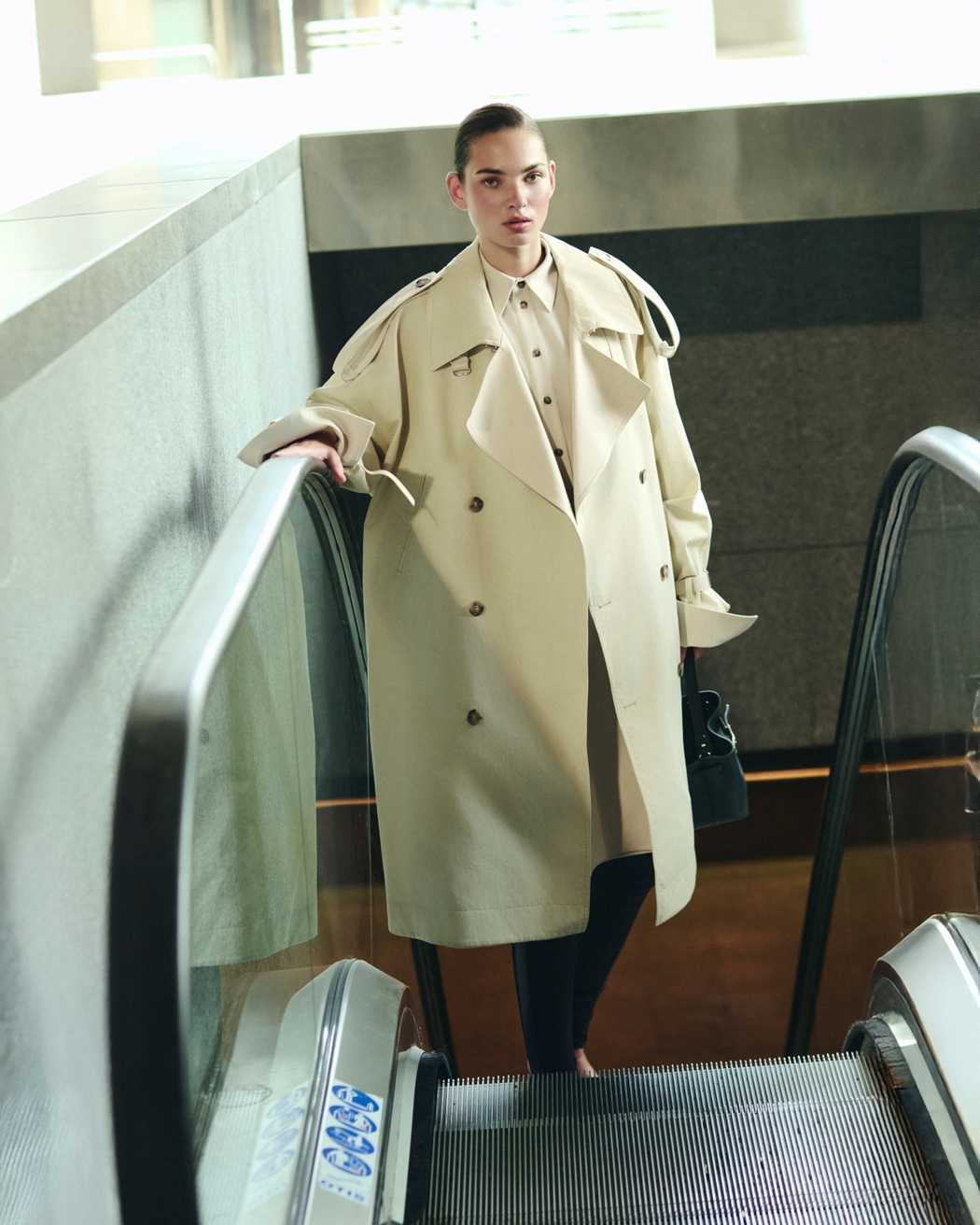 Model Image