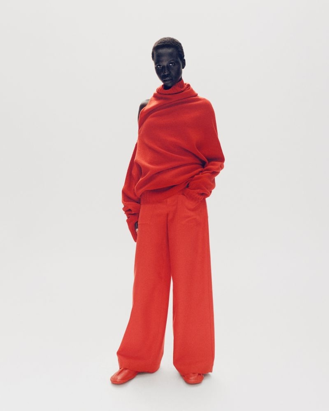 Model Image