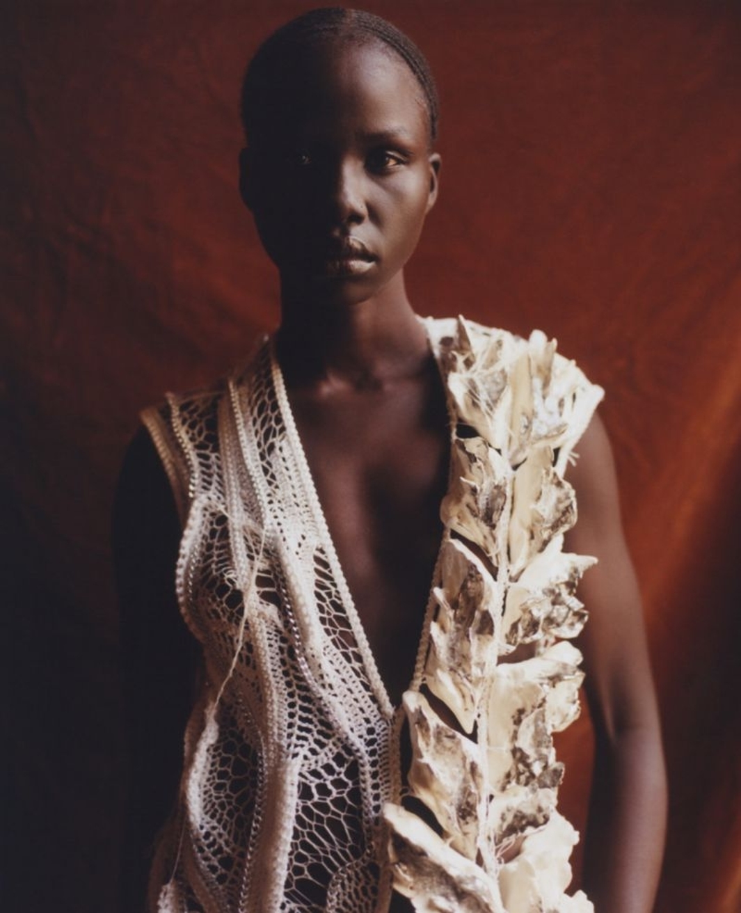 Model Image