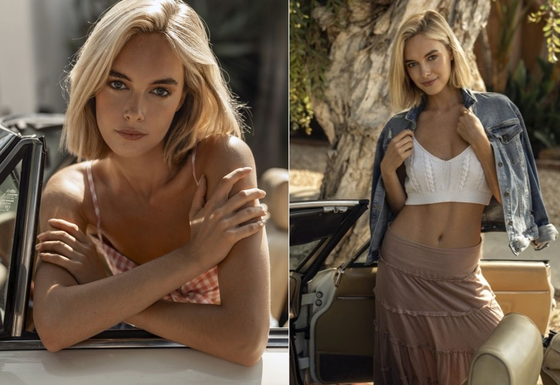 Model Image