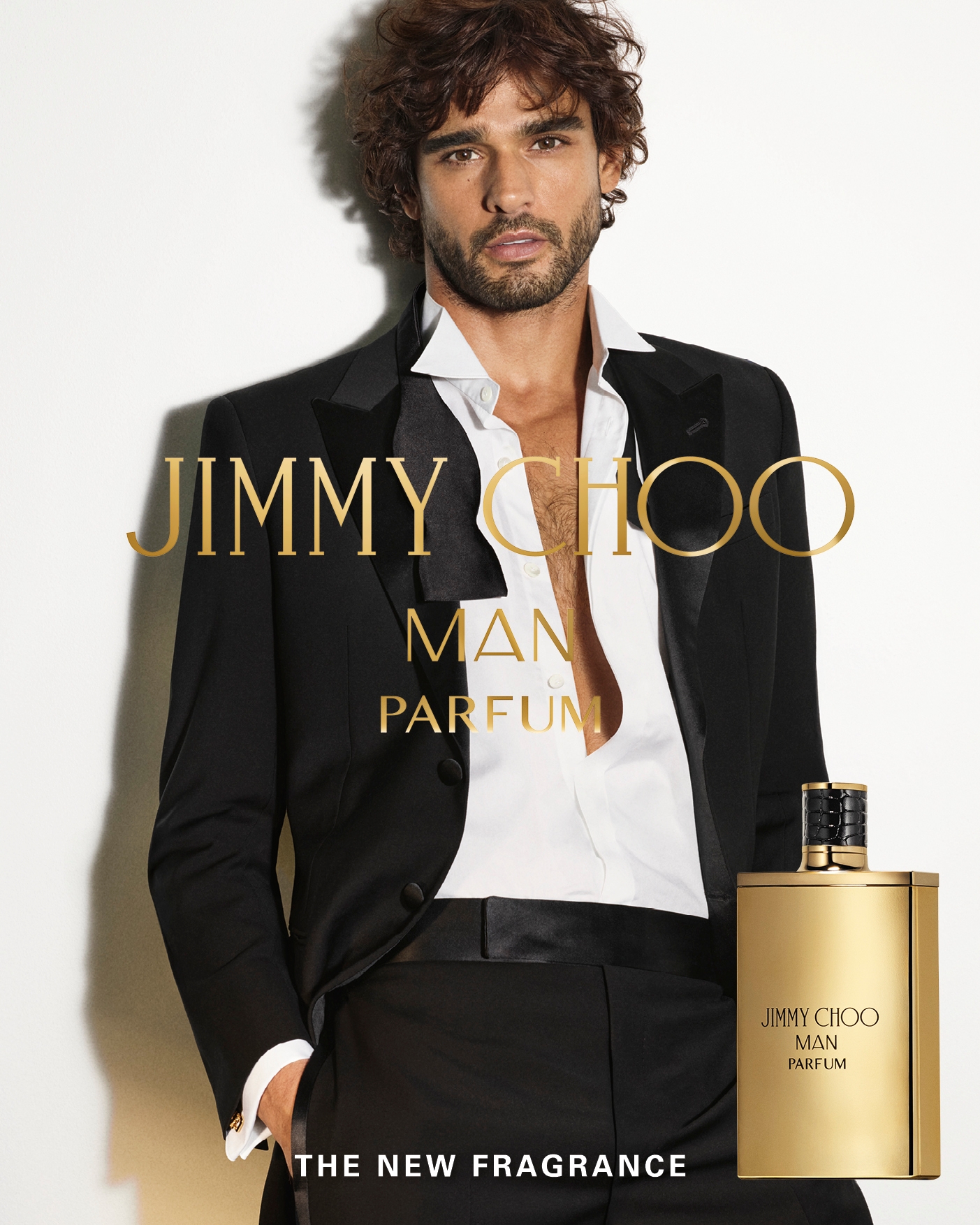 Model Image