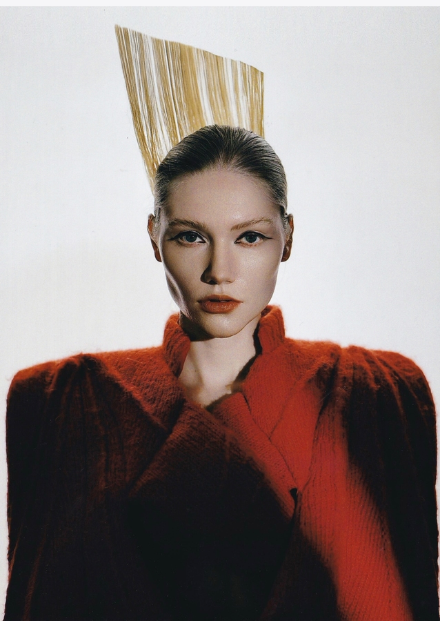 Model Image