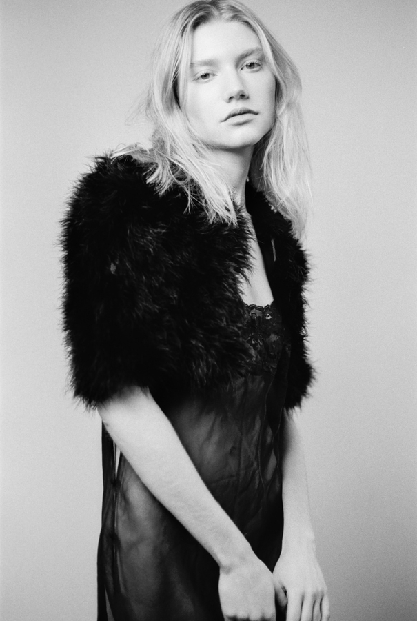 Model Image