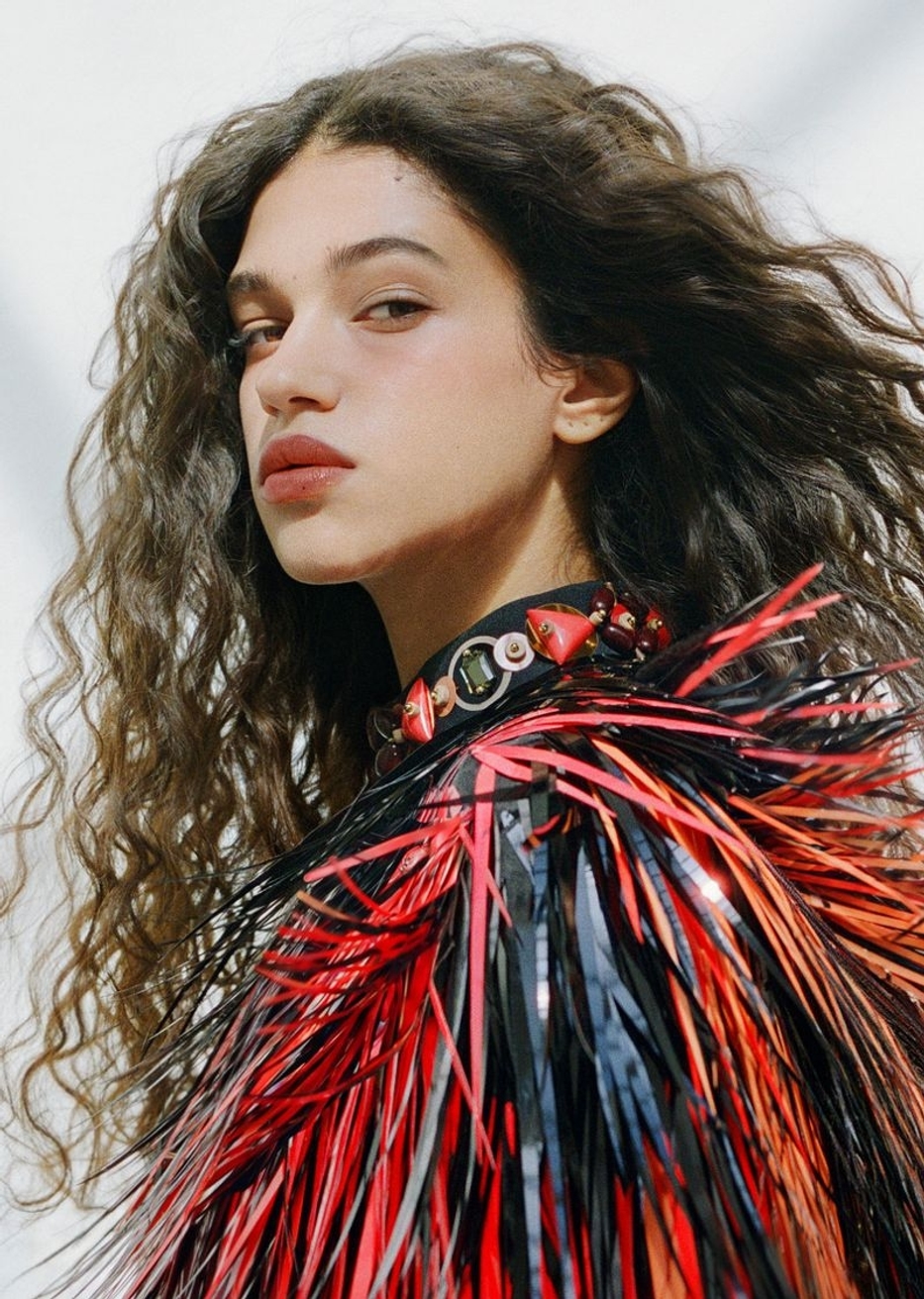Model Image