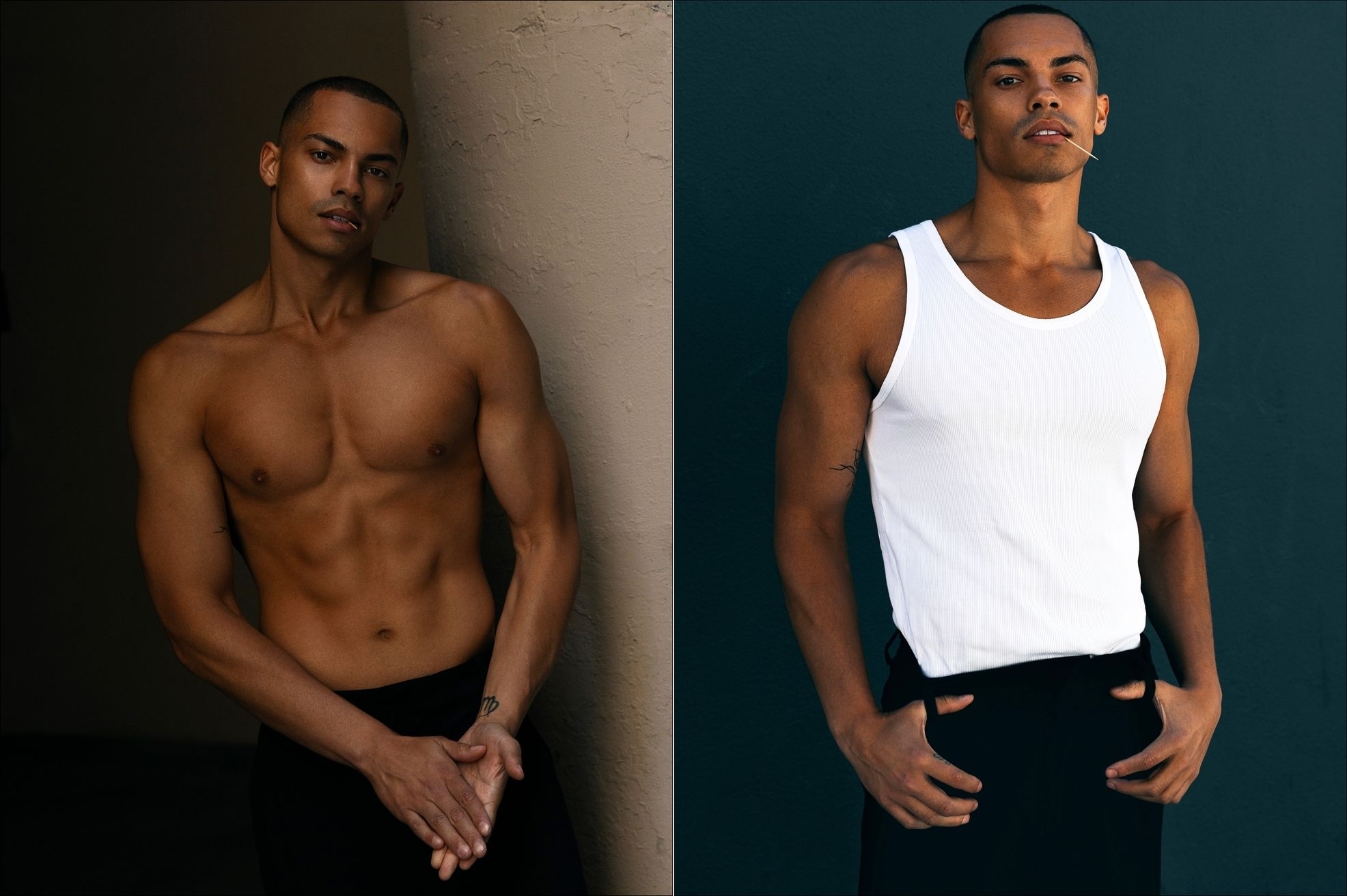 Model Image