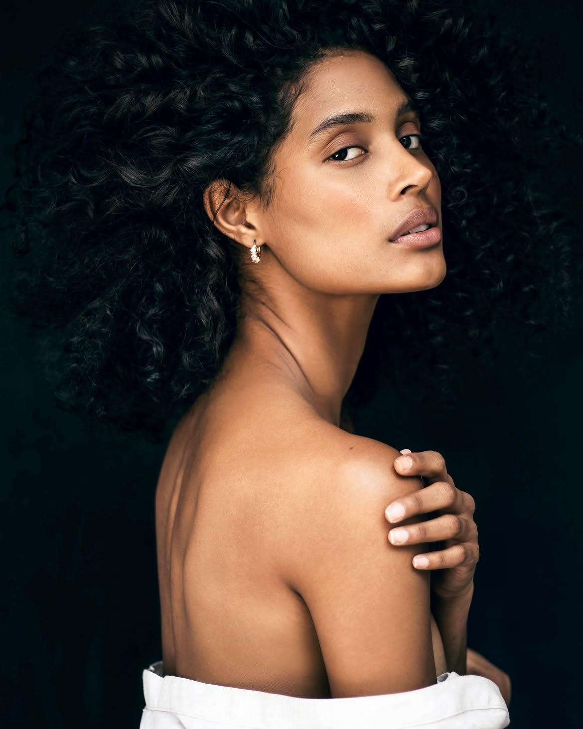 Model Image