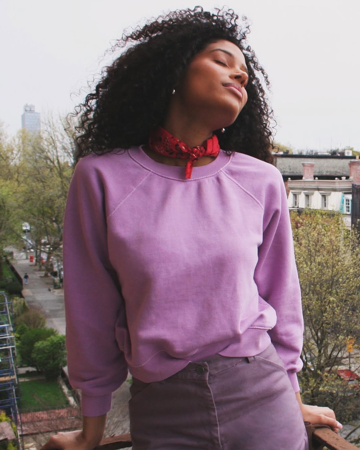 Model Image