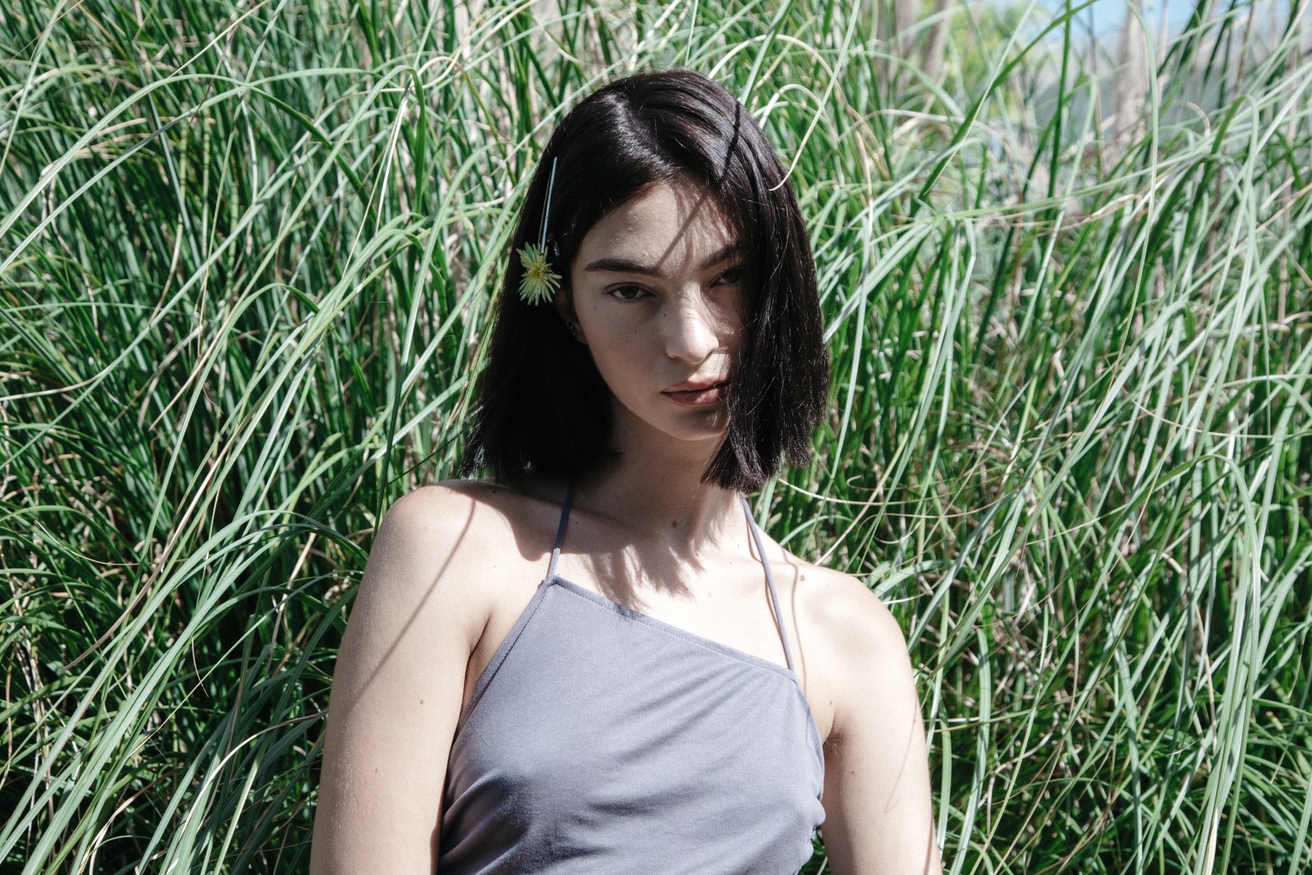 Model Image