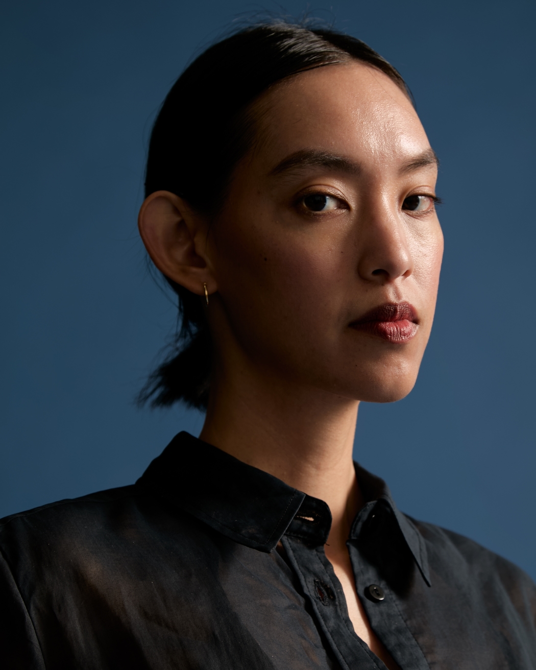 Model Image