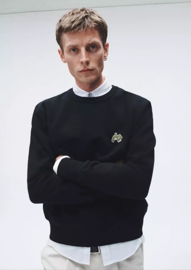 Model Image