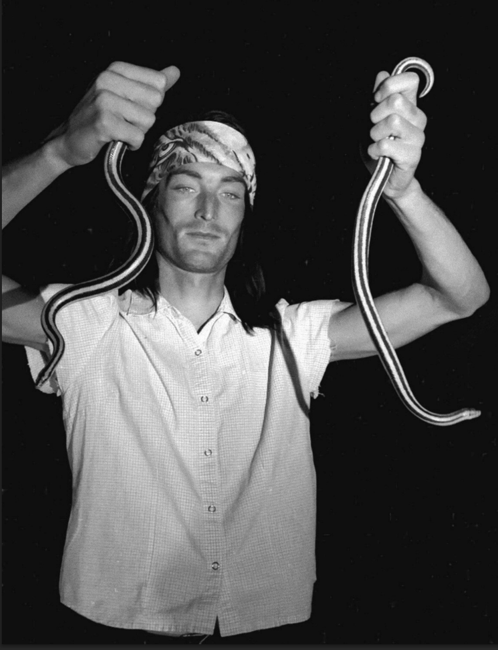 Model Image