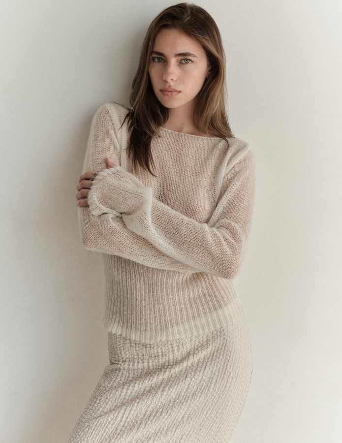 Model Image