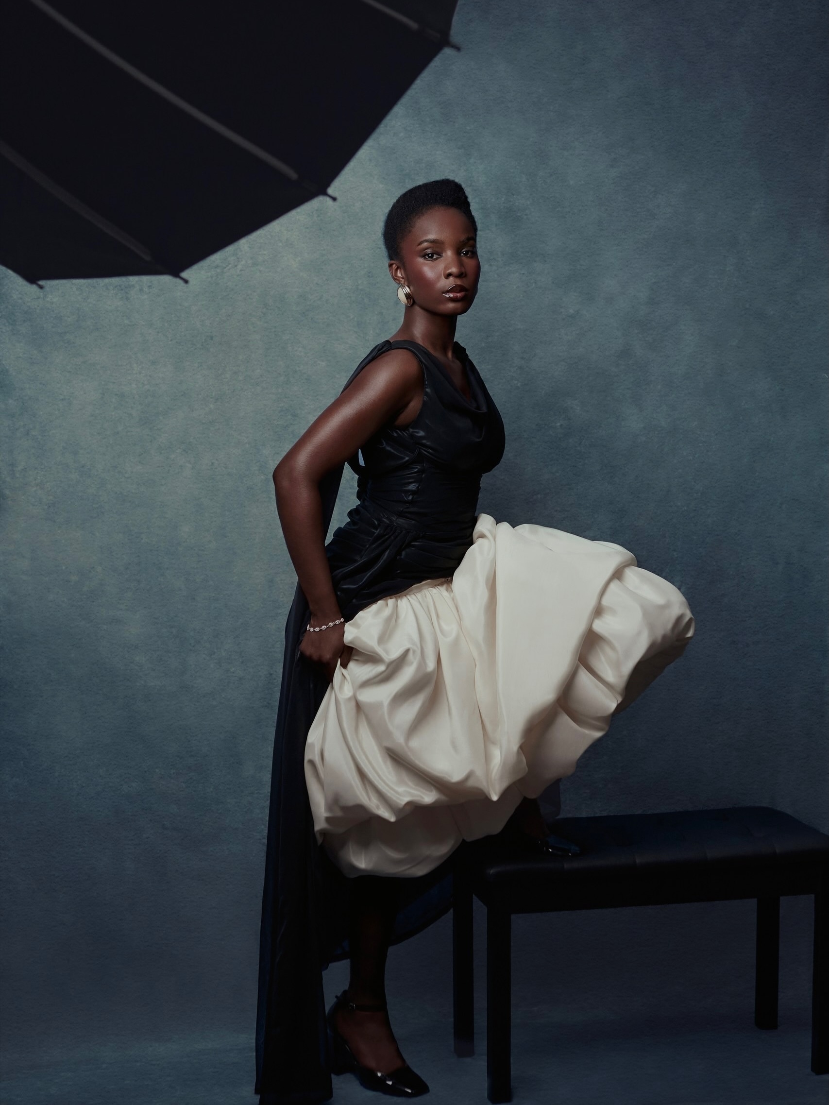 Model Image