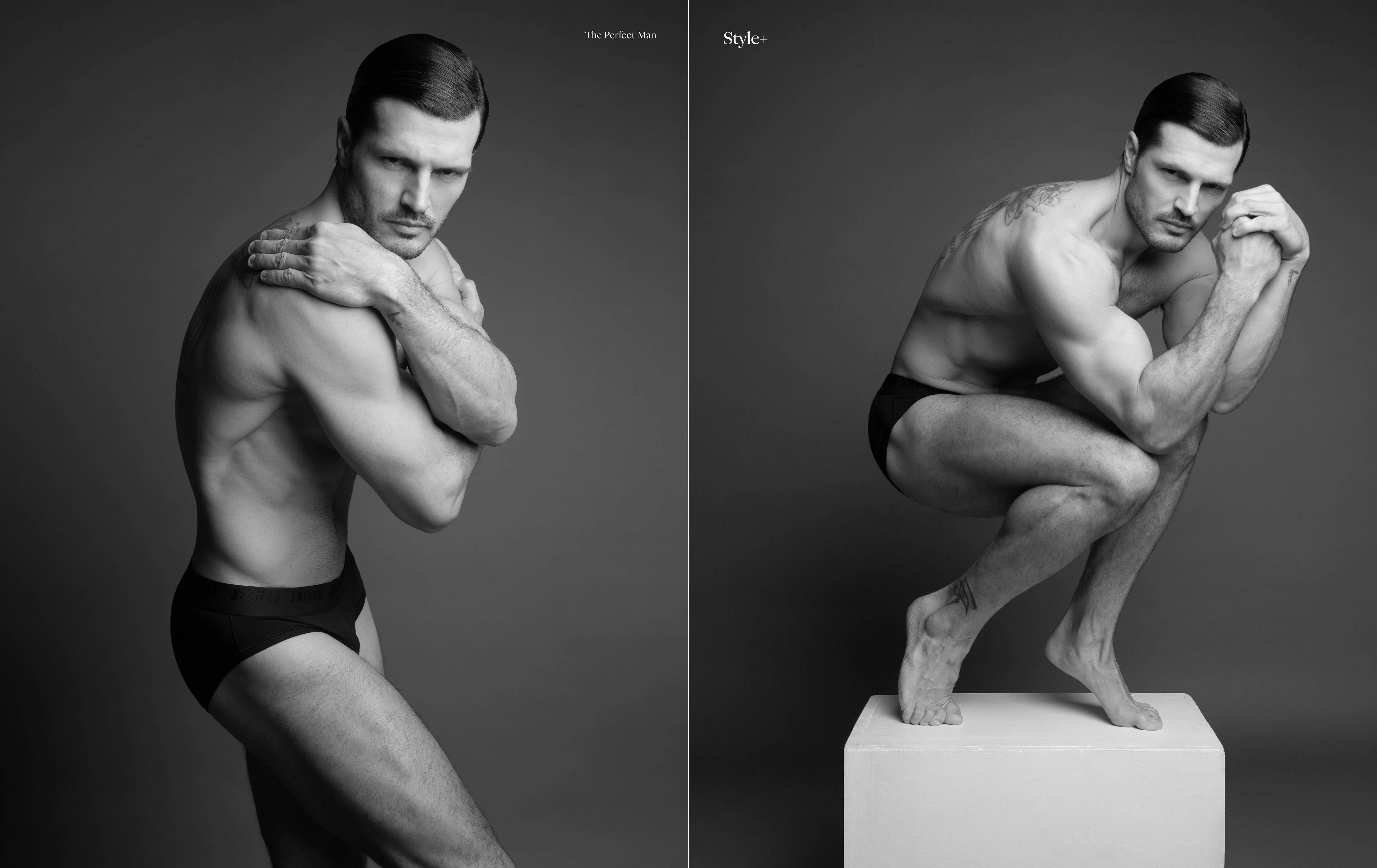 Model Image