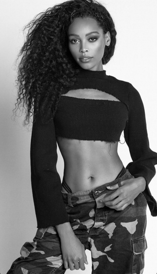 Model Image
