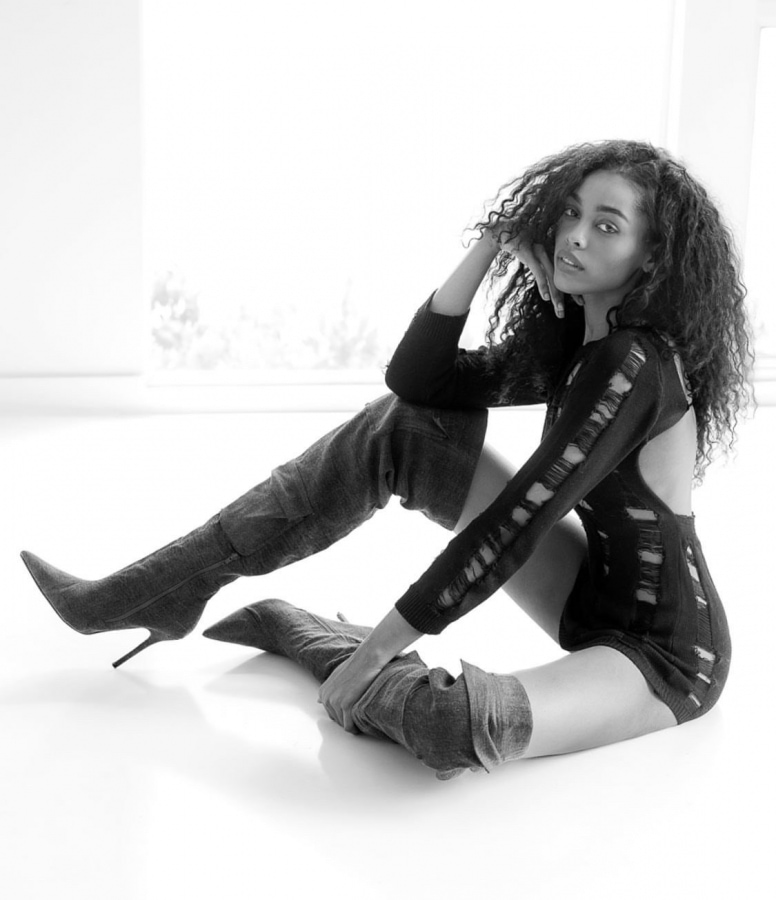 Model Image