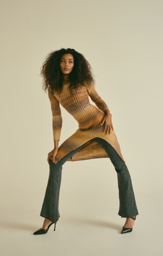 Model Image