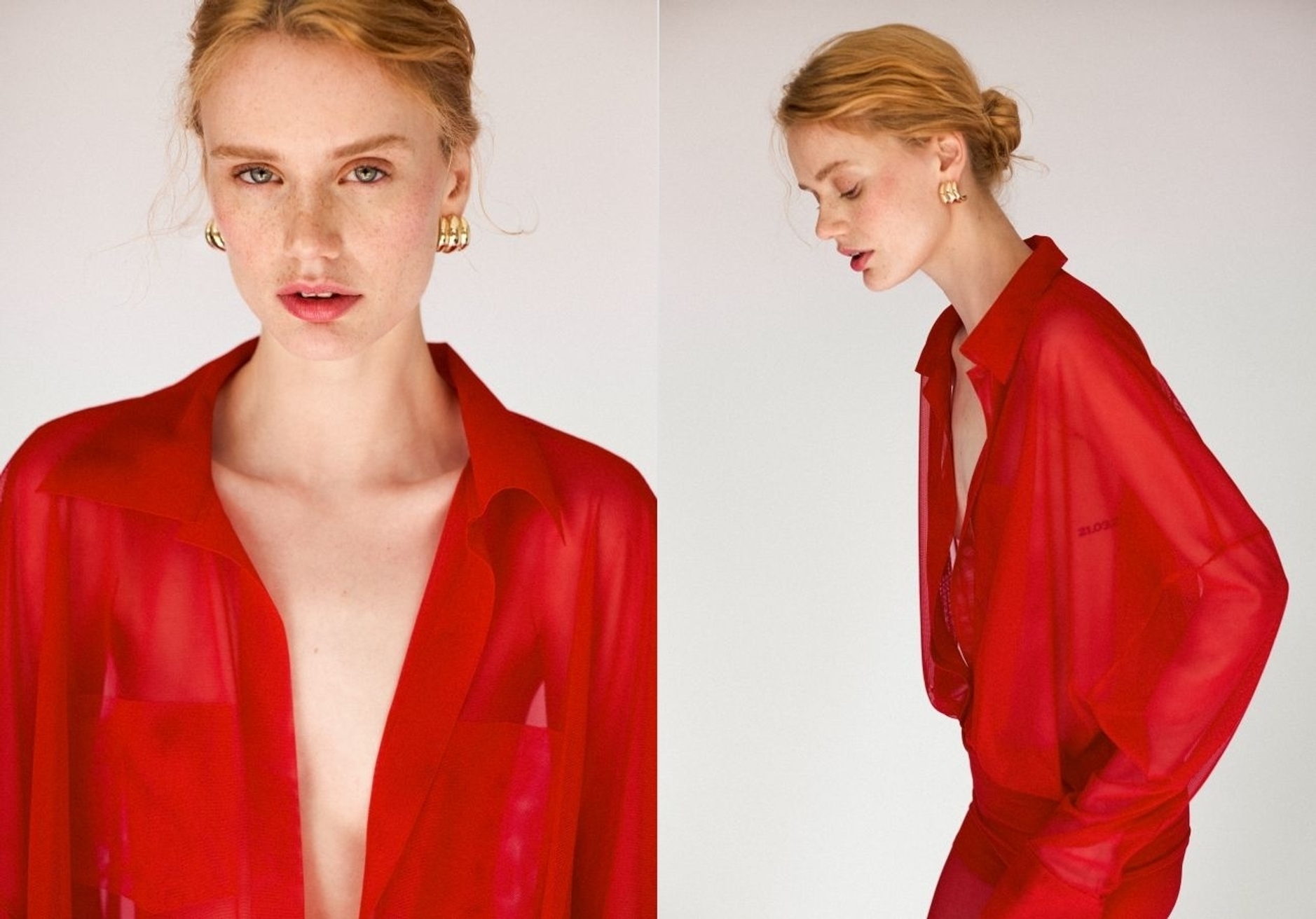 Model Image