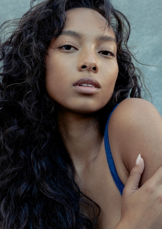 Model Image