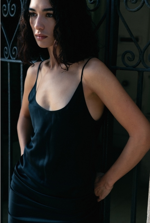 Model Image