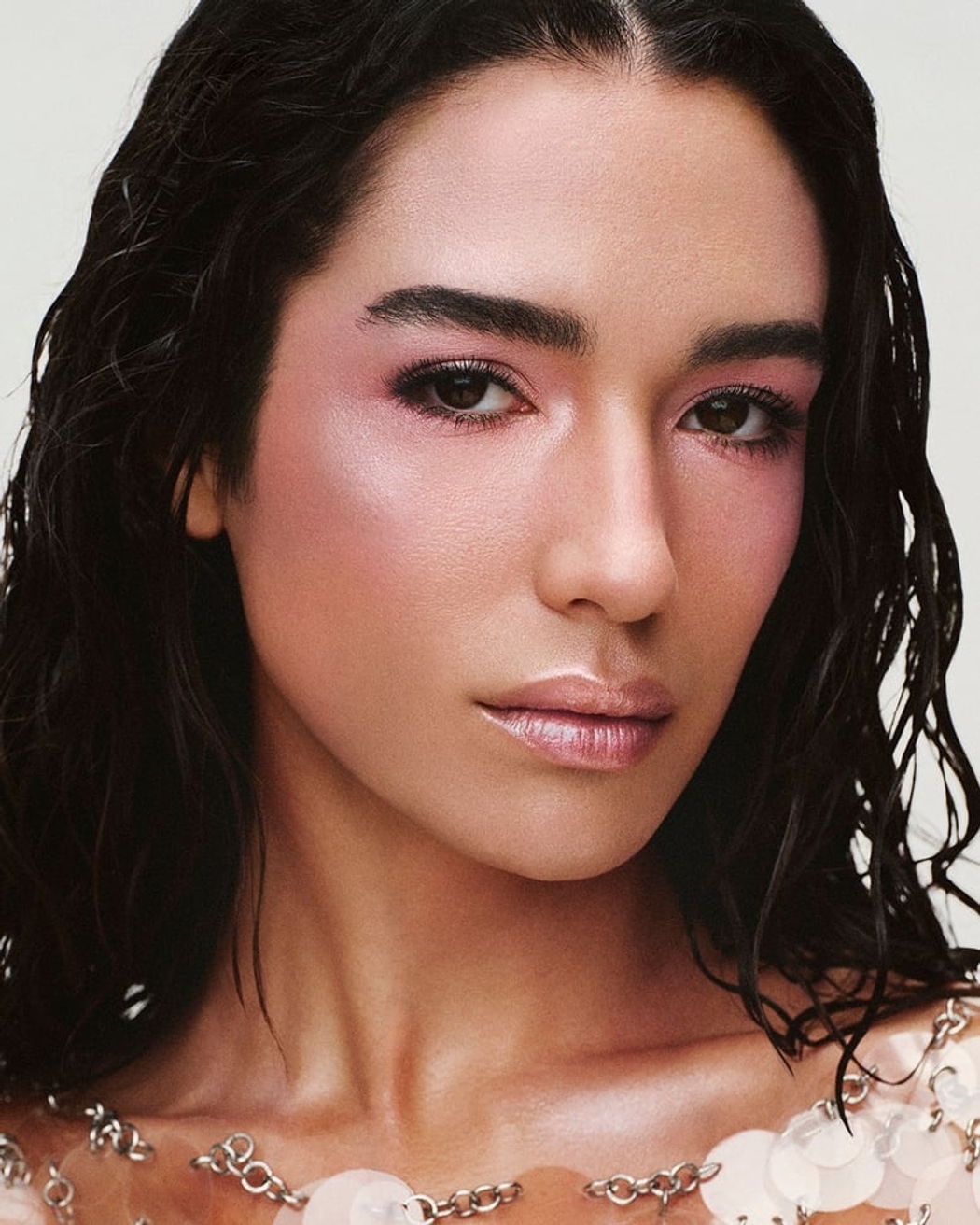 Model Image