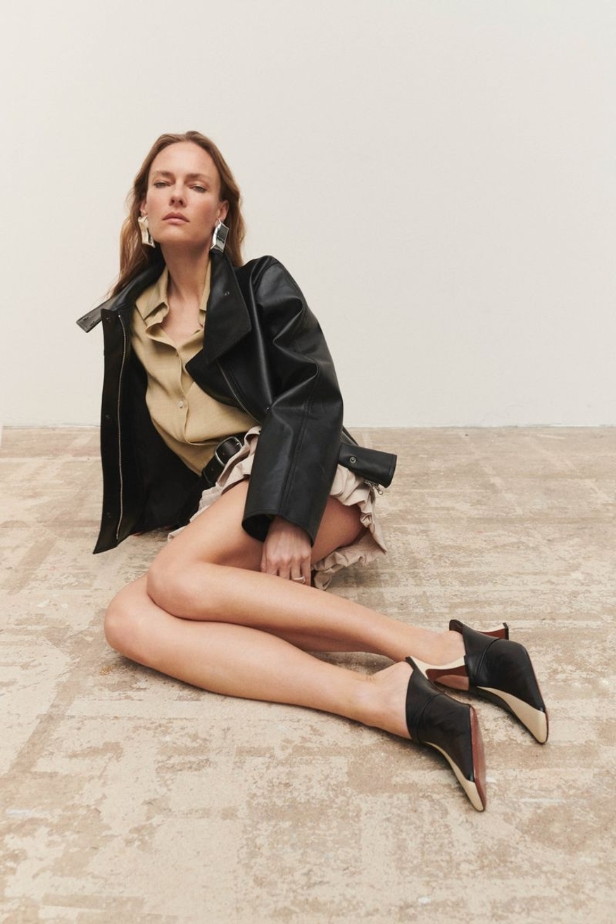 Model Image