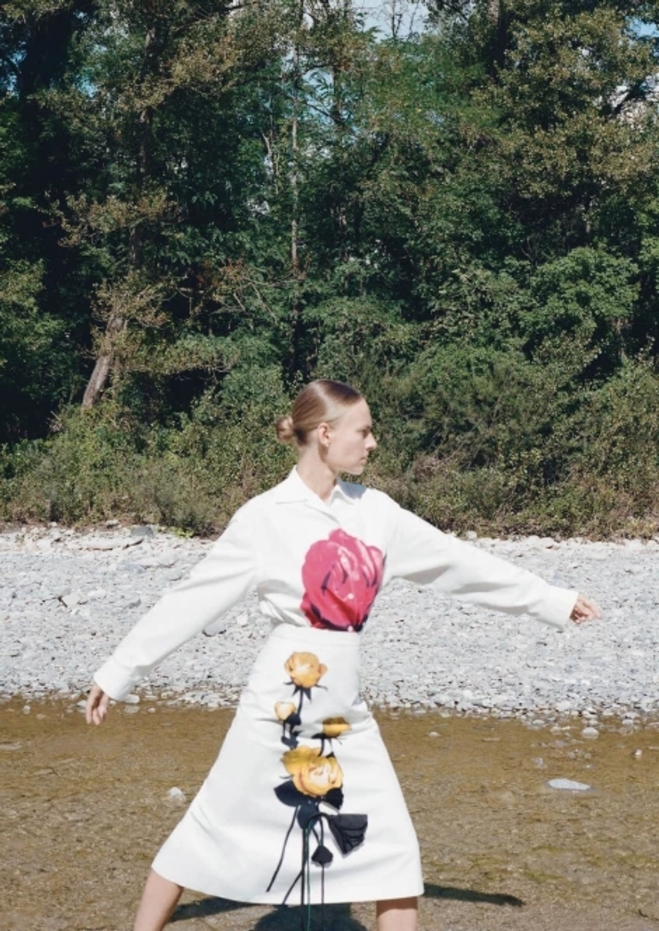 Model Image