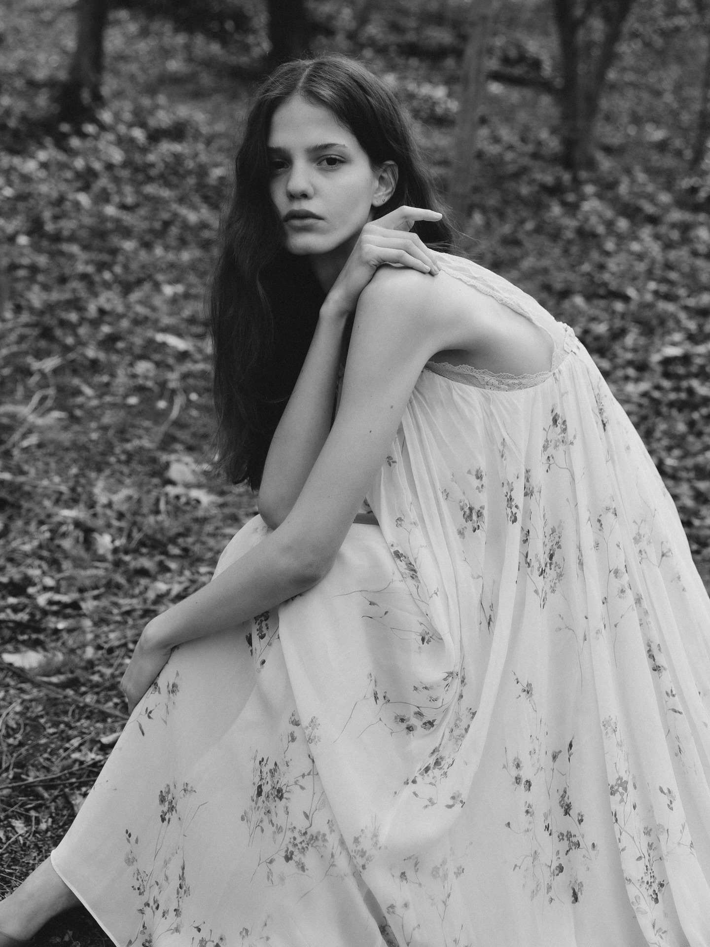 Model Image