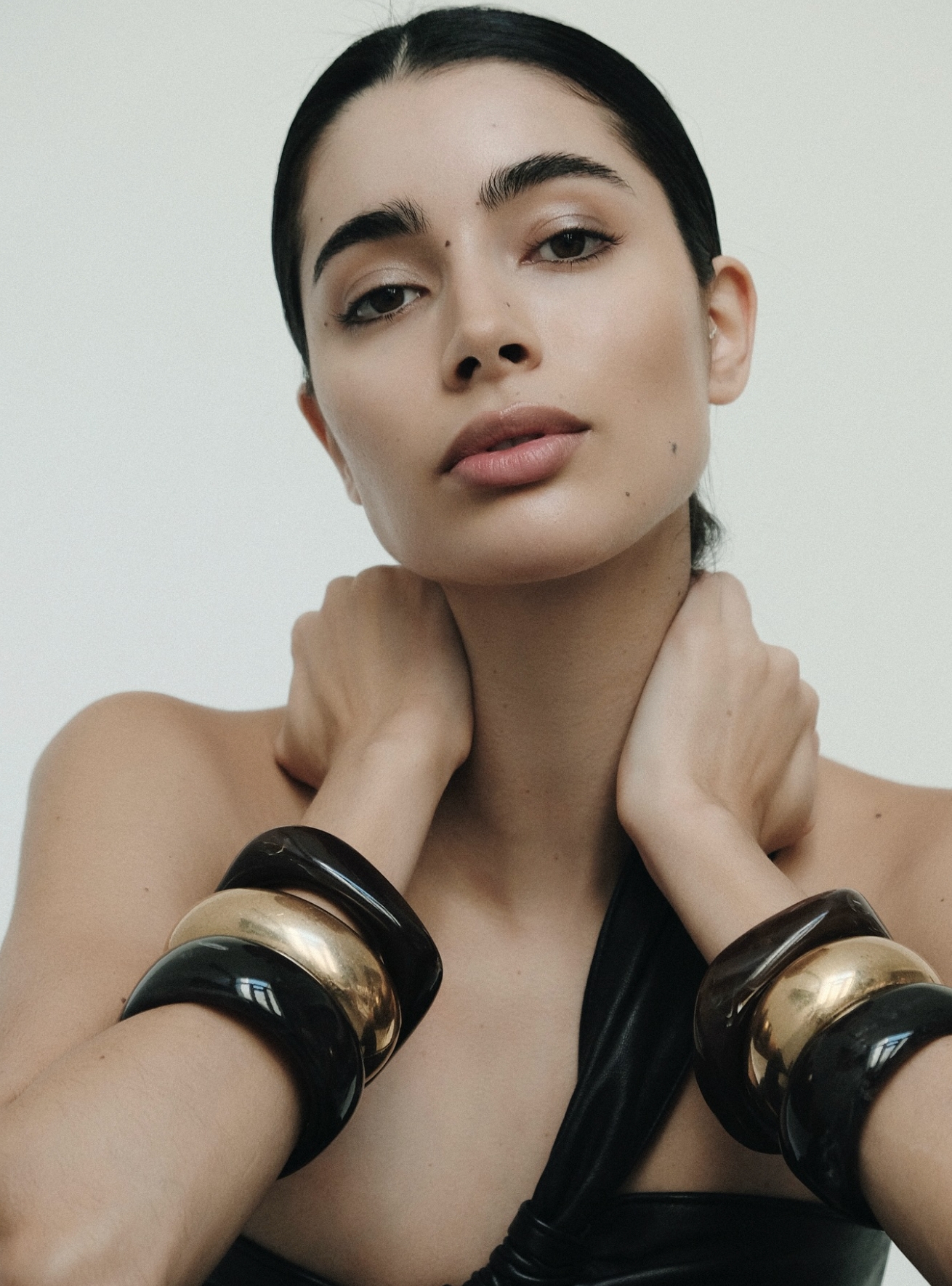 Model Image