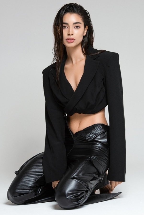 Model Image
