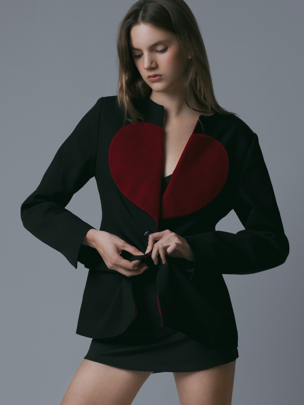 Model Image
