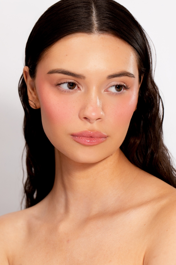 Model Image