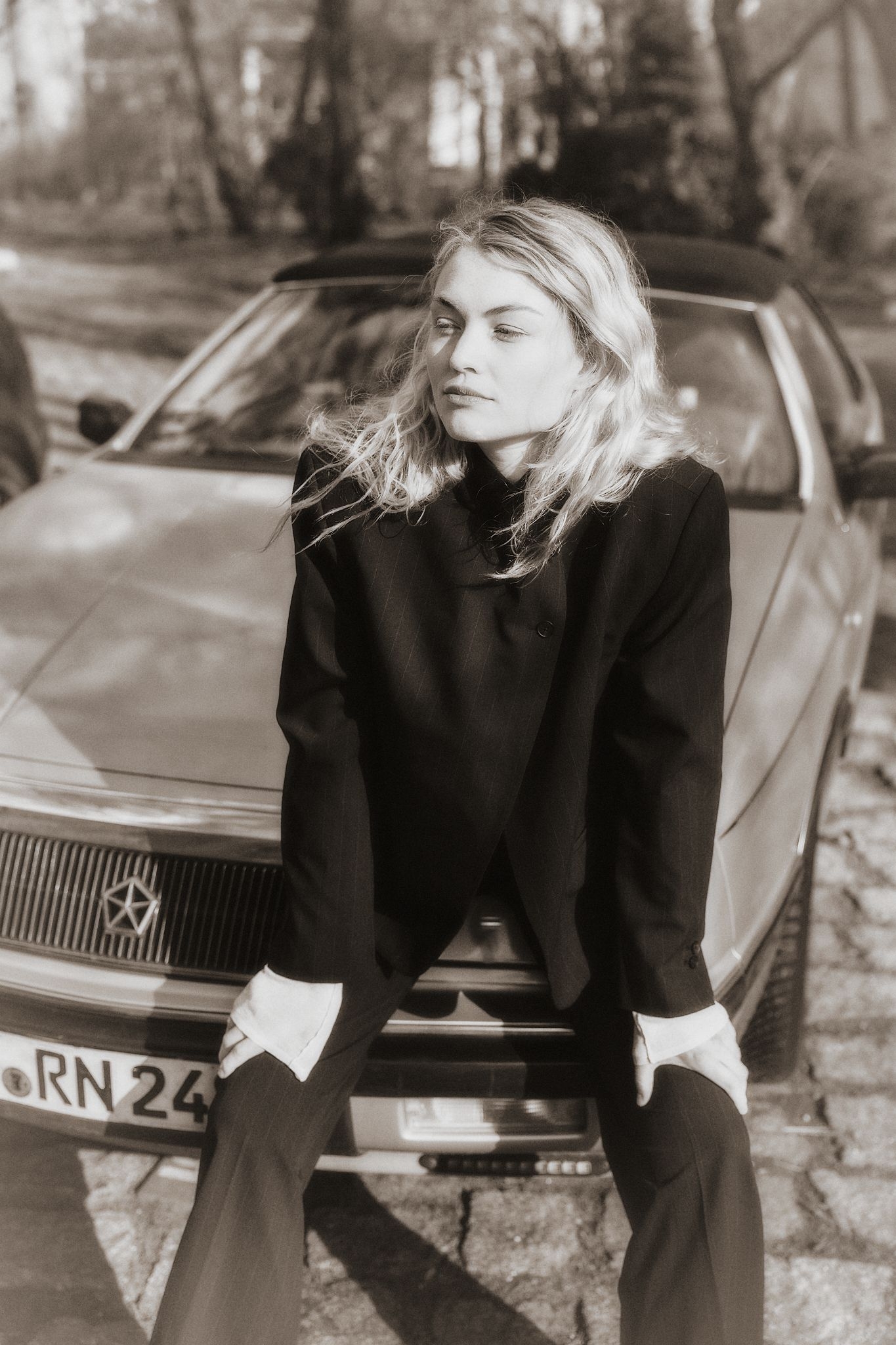 Model Image