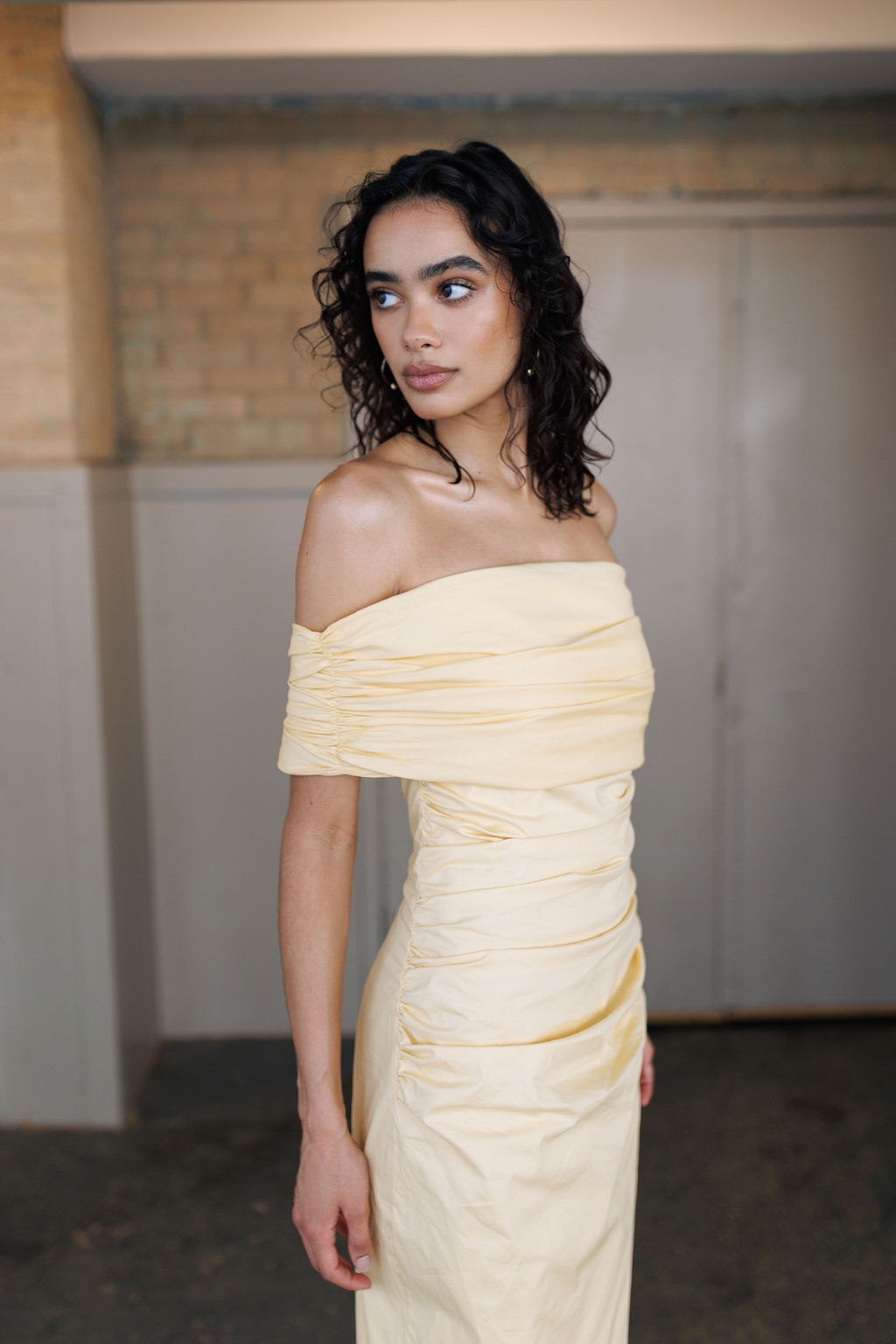 Model Image