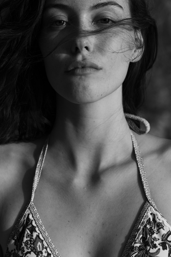 Model Image