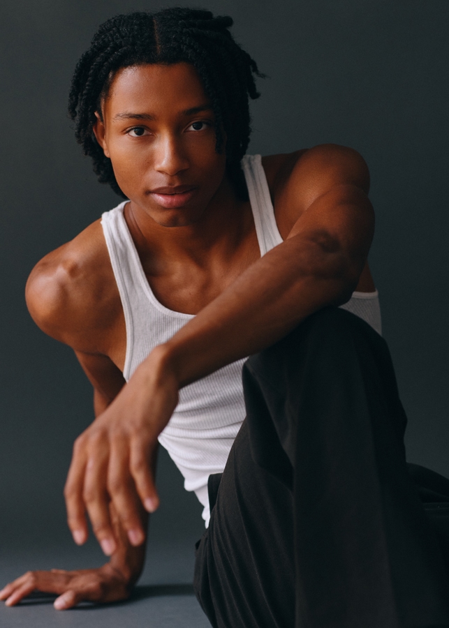 Model Image